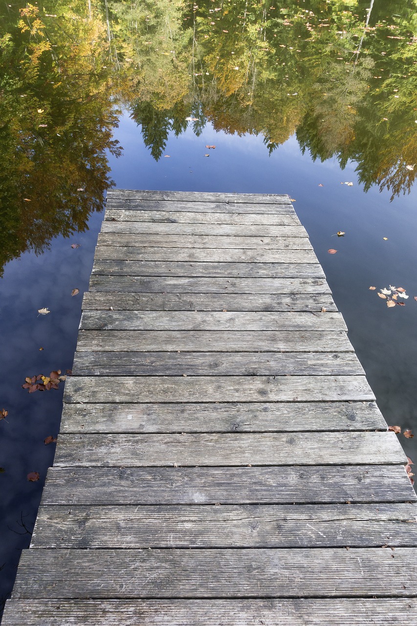 web boardwalk lake free photo