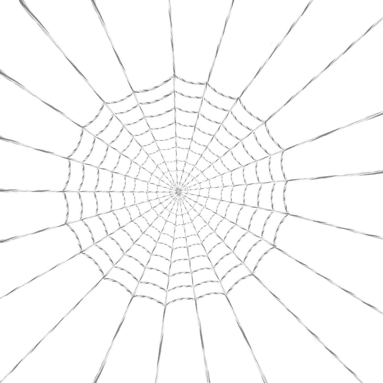 web spider woven free photo