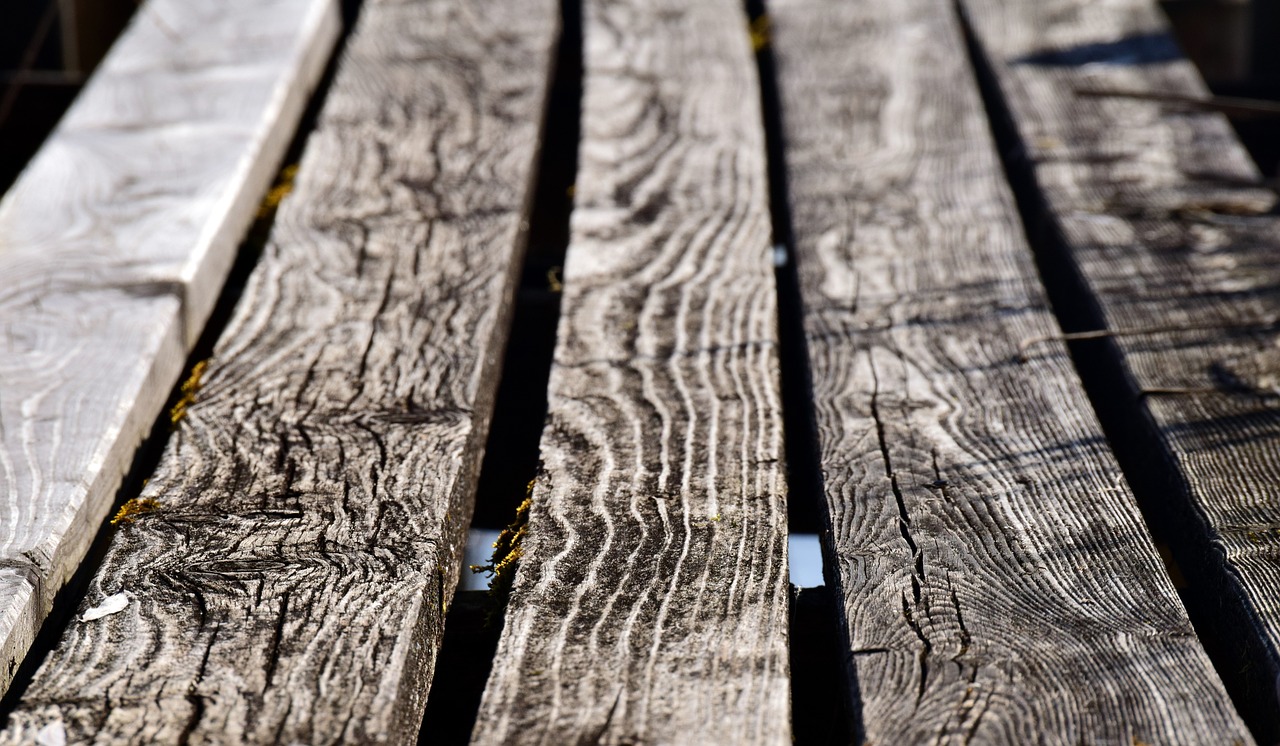 web  plank  close up free photo