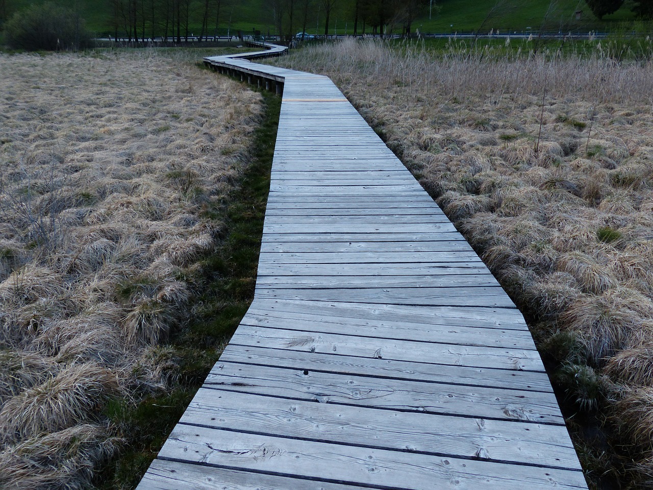 web boardwalk moor free photo