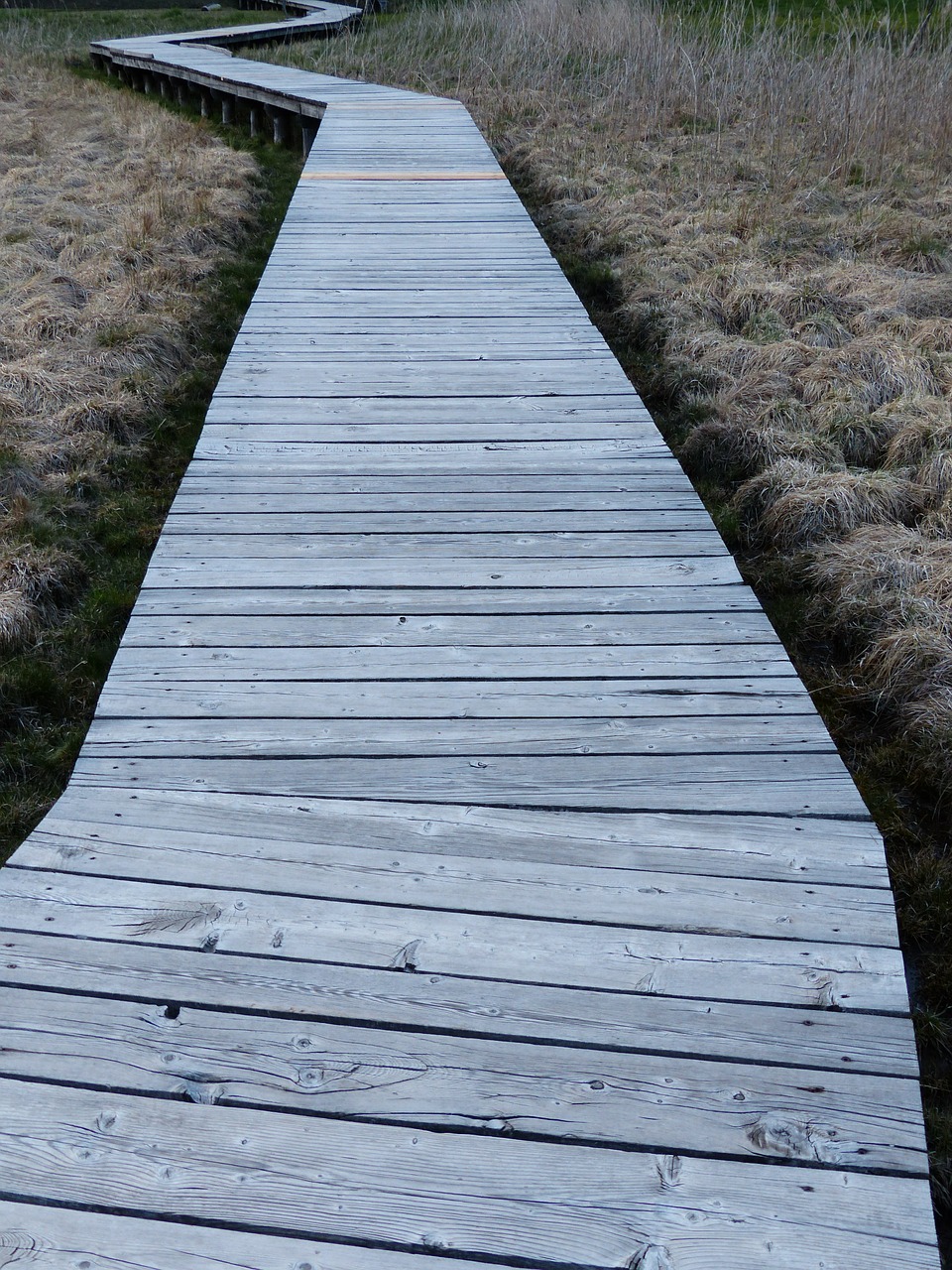 web boardwalk moor free photo