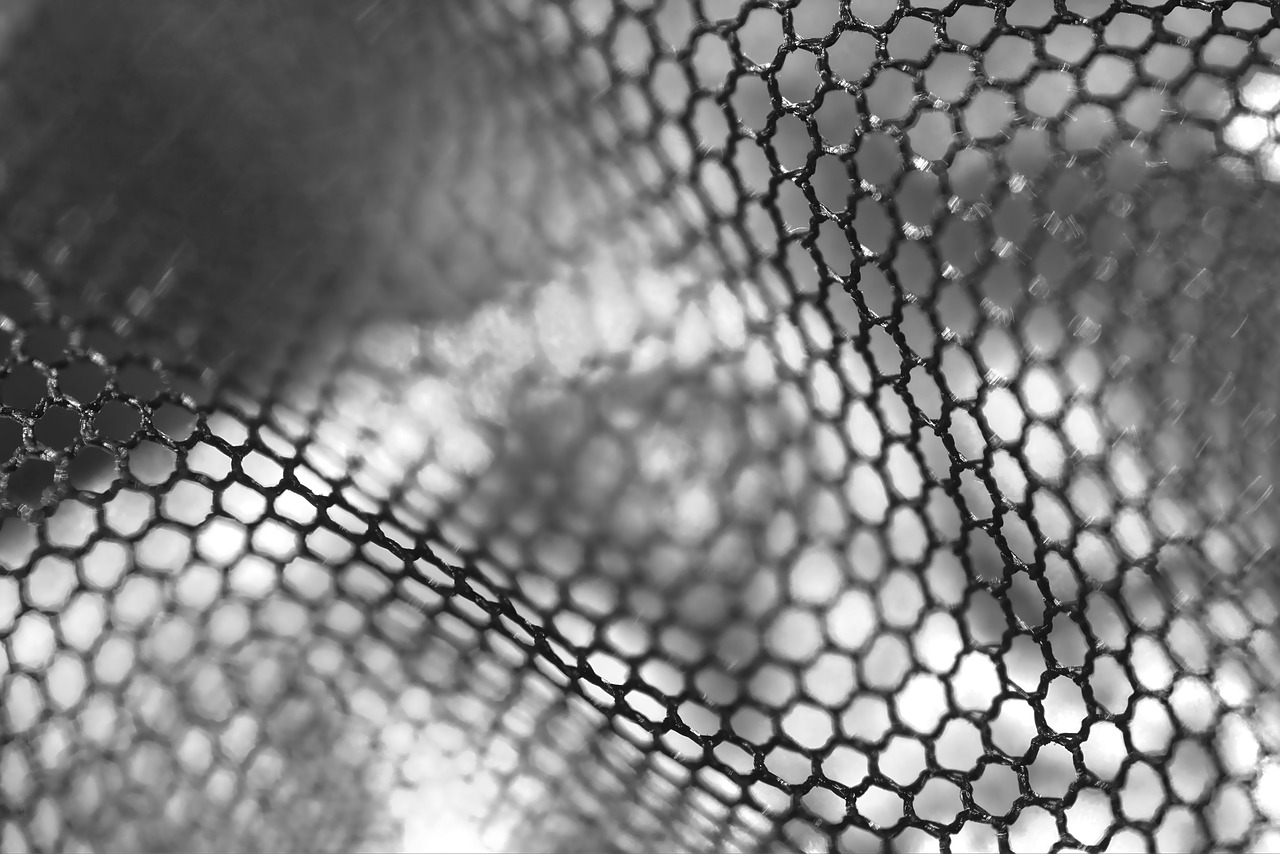 web  tulle  networked free photo