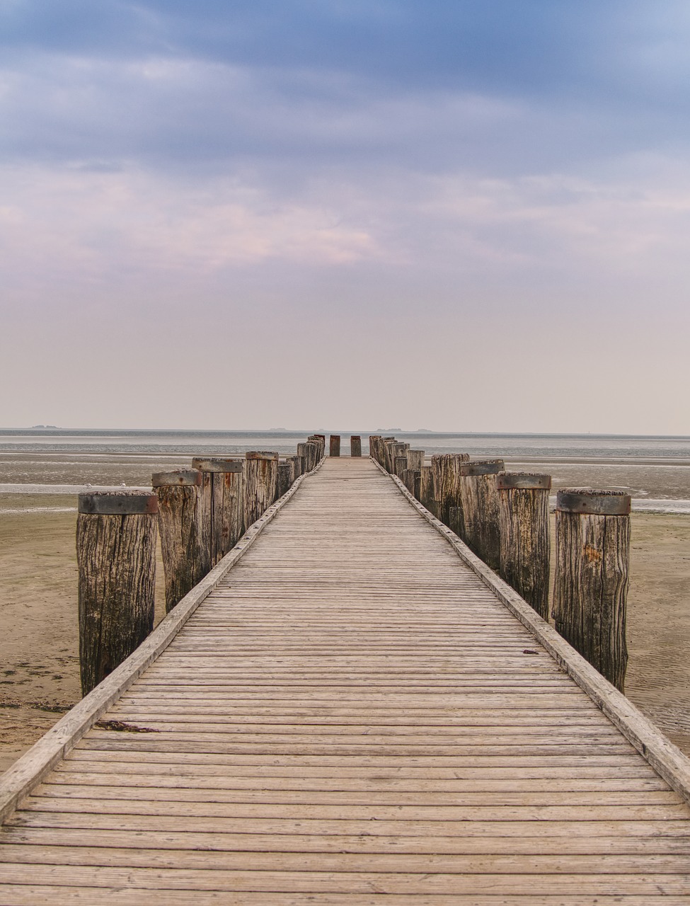 web  boardwalk  bridge free photo