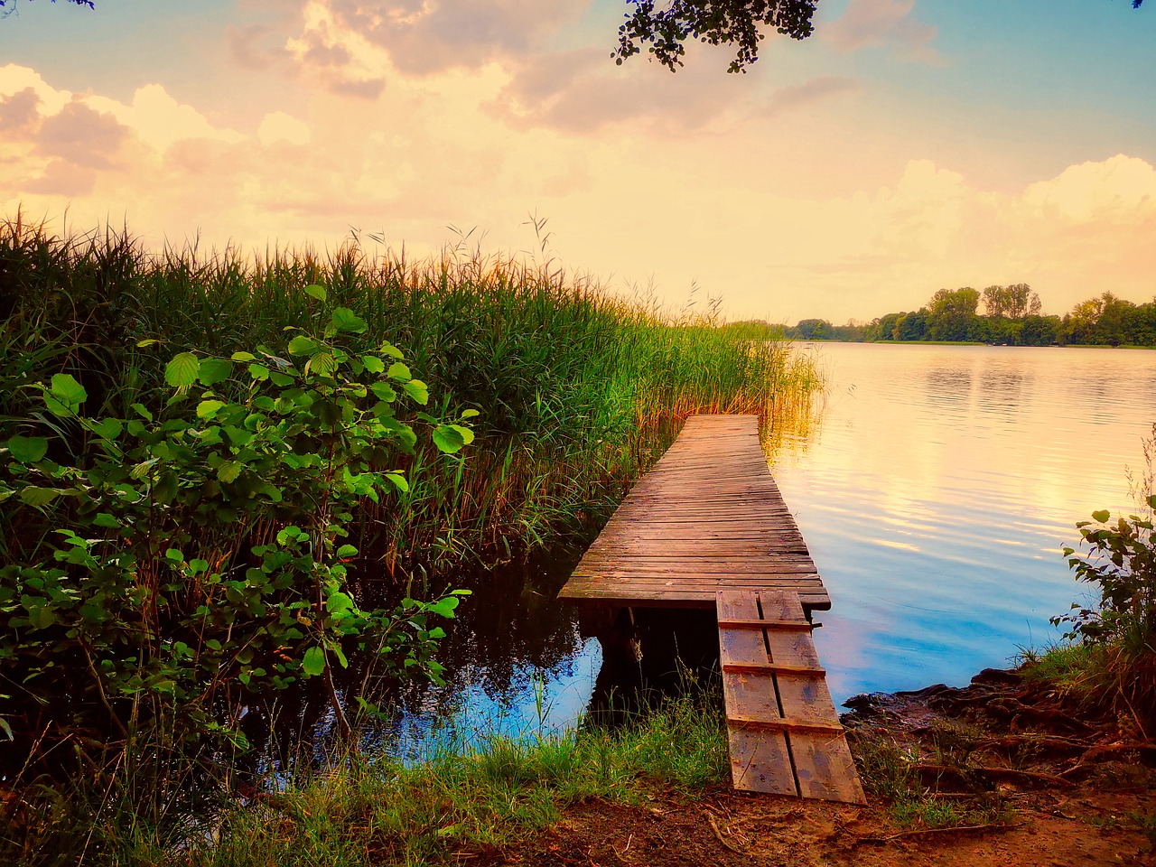 web  bathing place  lake free photo