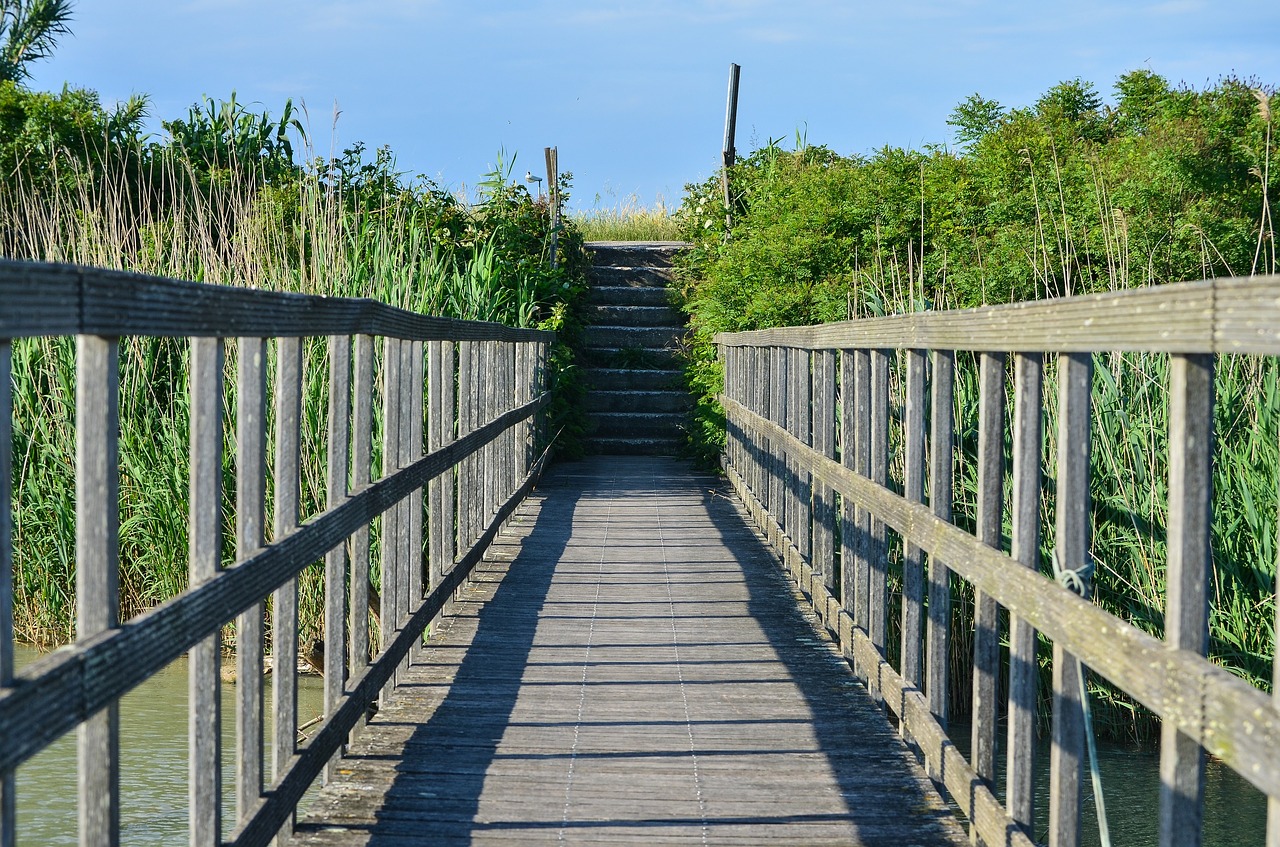 web  boardwalk  bridge free photo