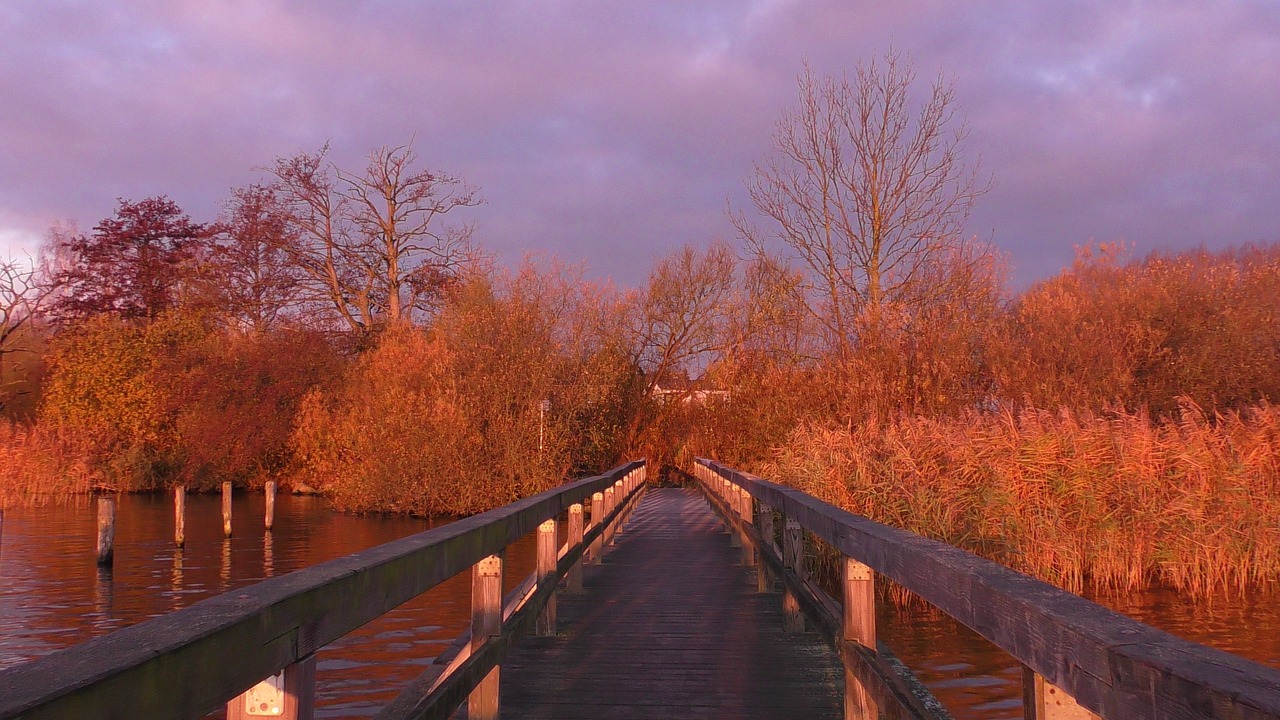 web  bridge  wood free photo