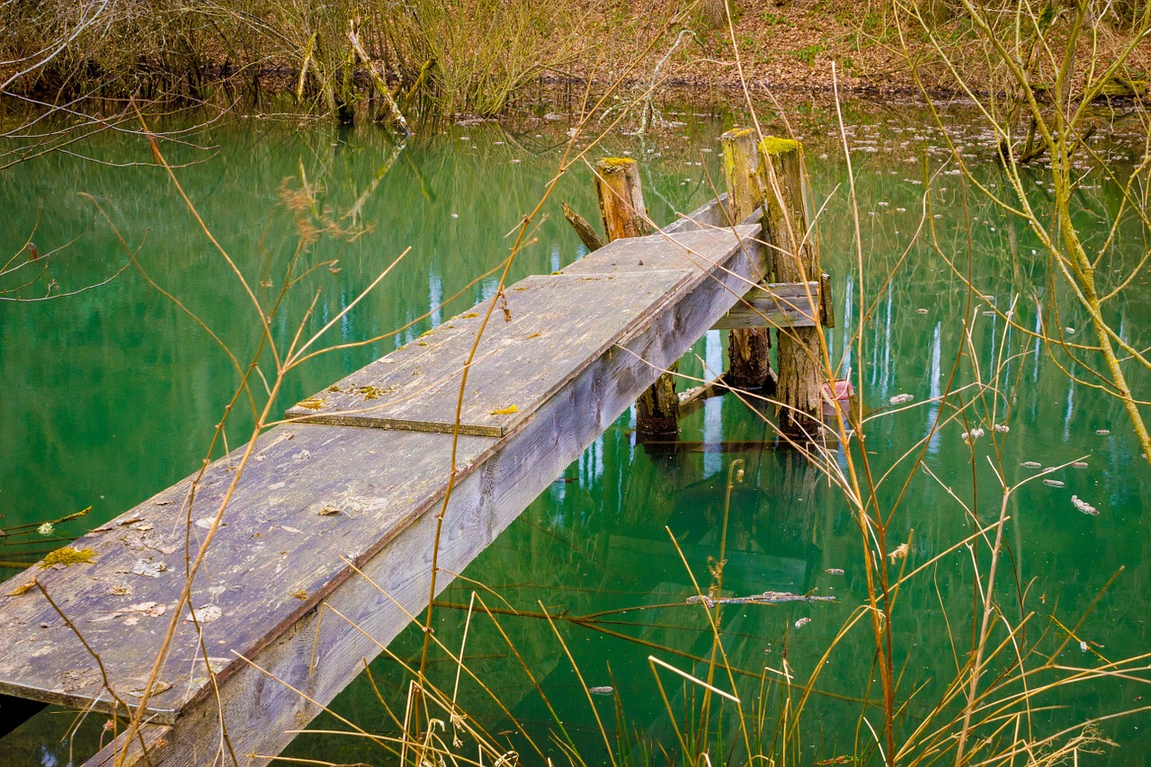 web lake pond free photo