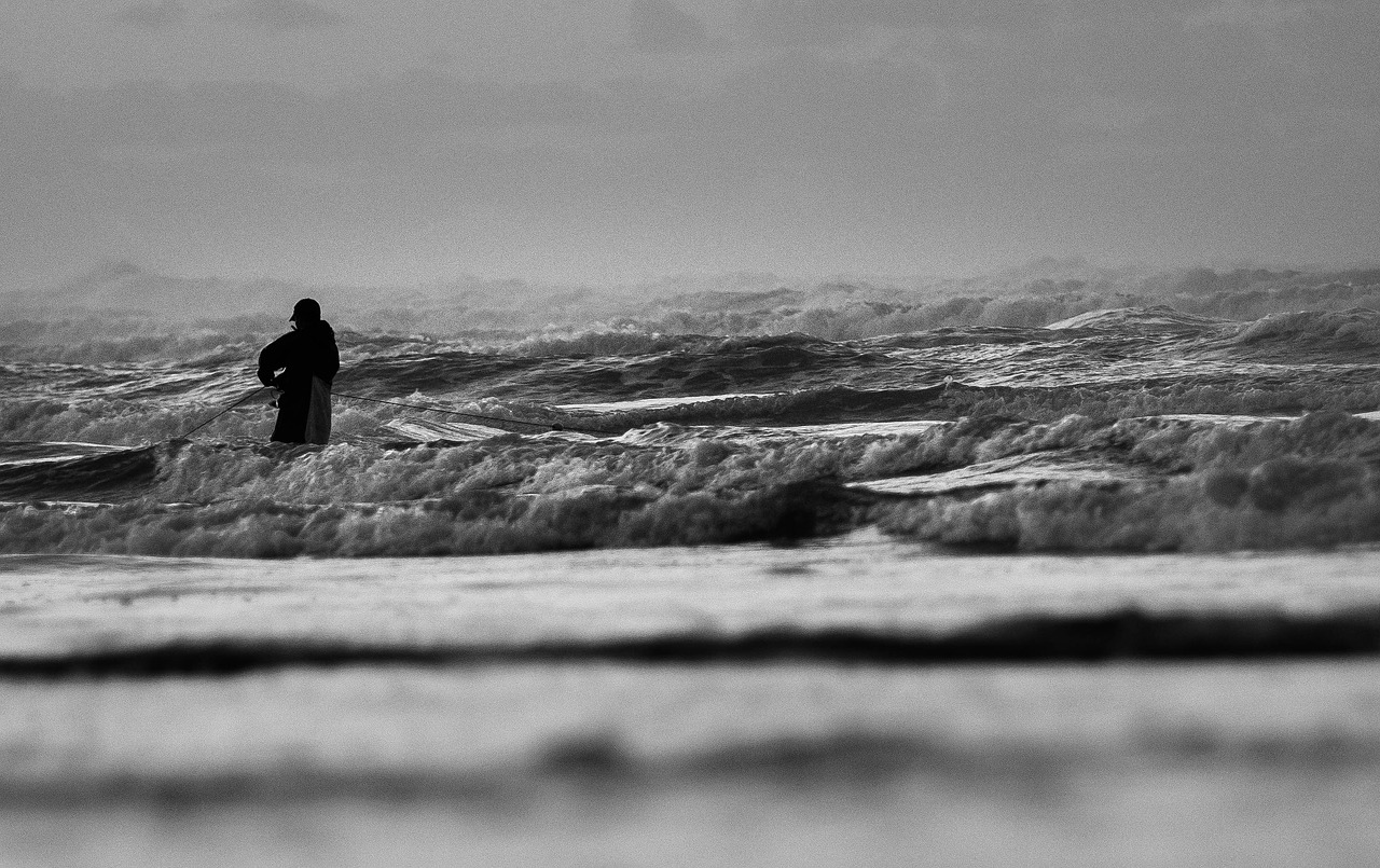 web  black and white  surf free photo