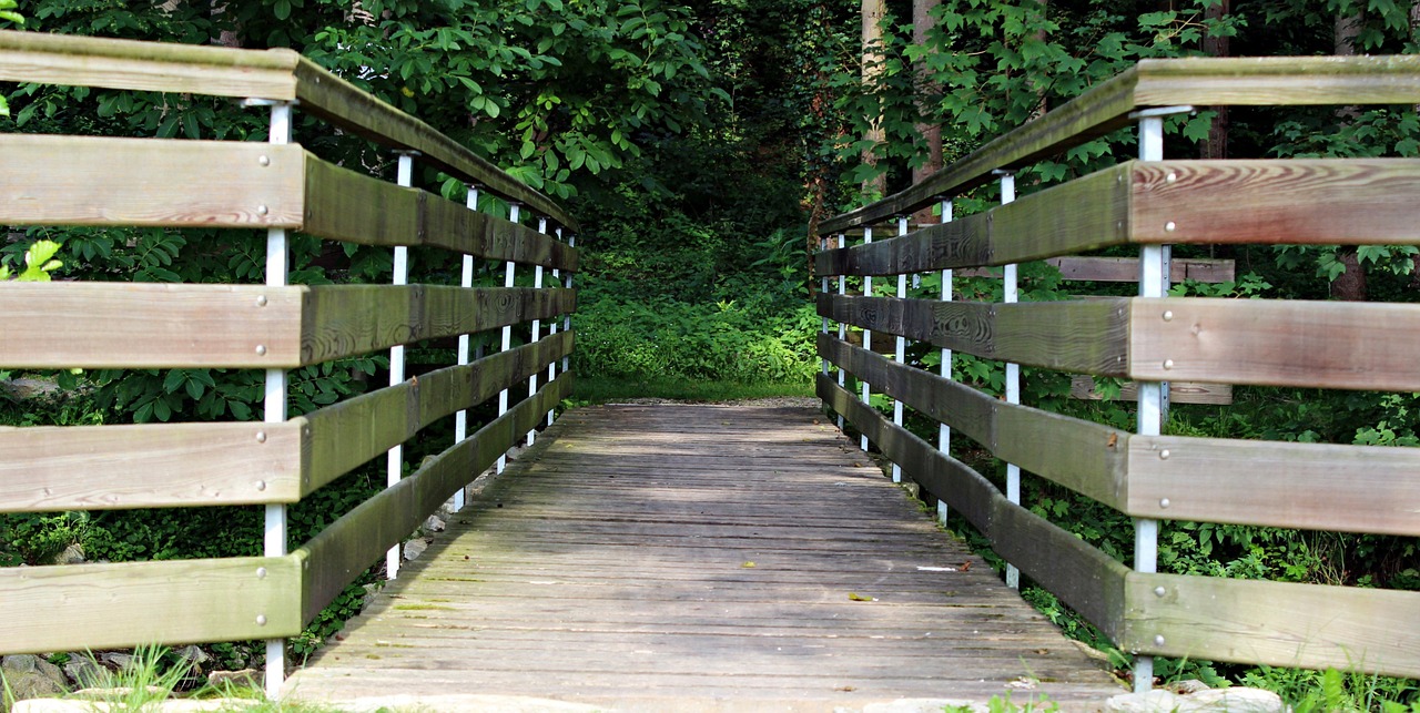 web wooden bridge bridge free photo