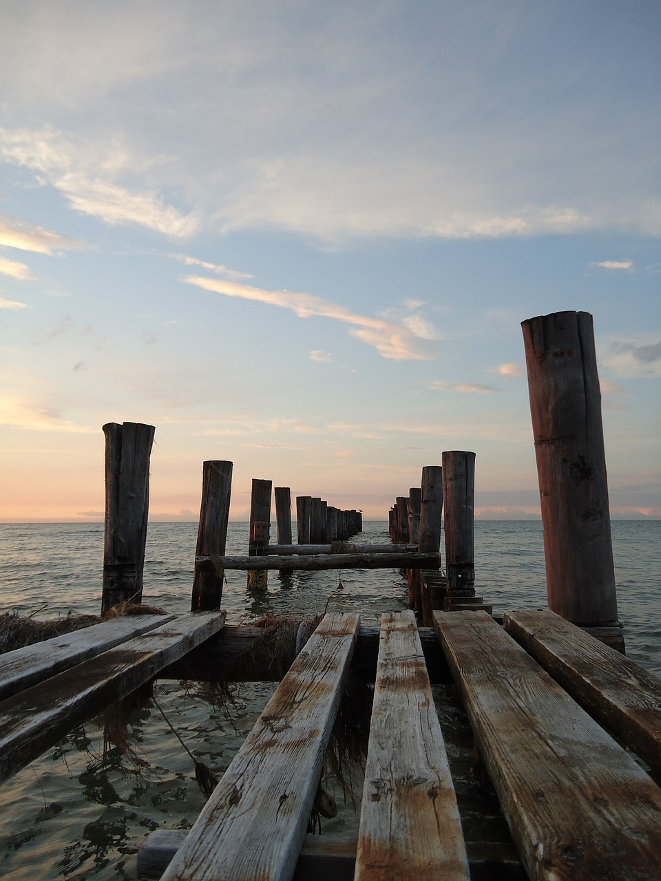 web sea wooden posts free photo