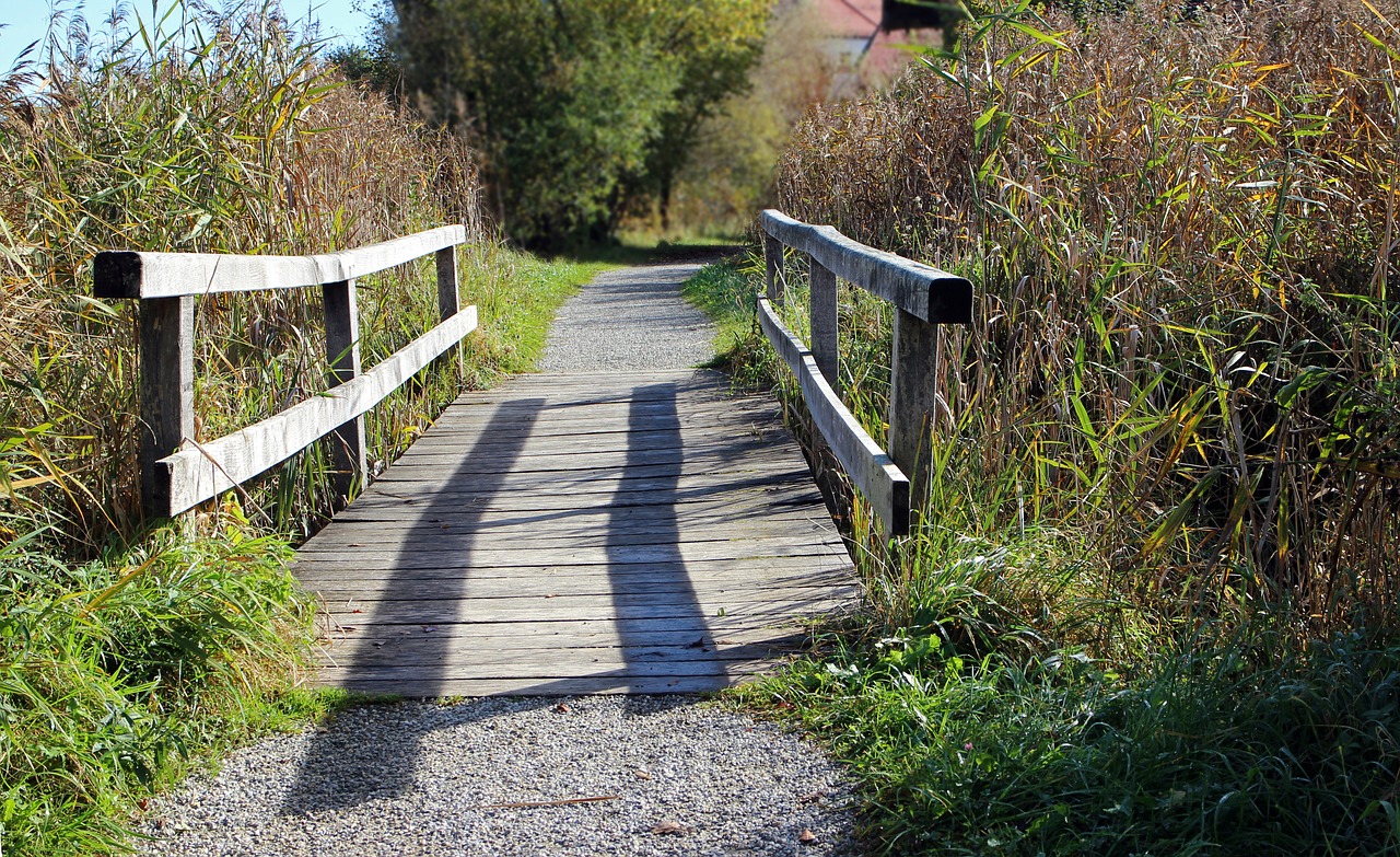 web bridge wood free photo