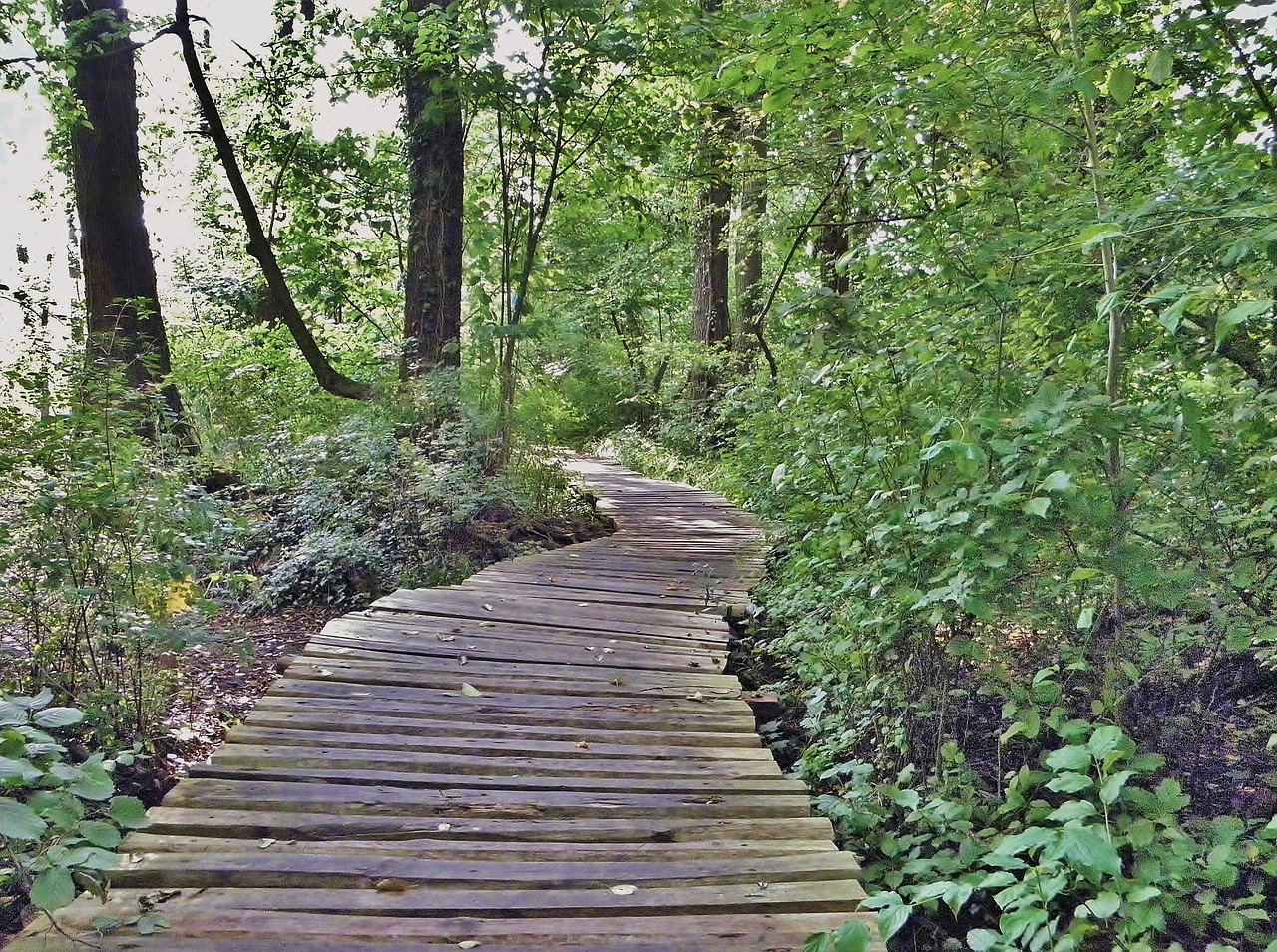 web wooden track wood planks free photo