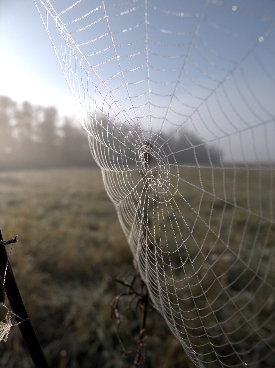 web autumn cold free photo