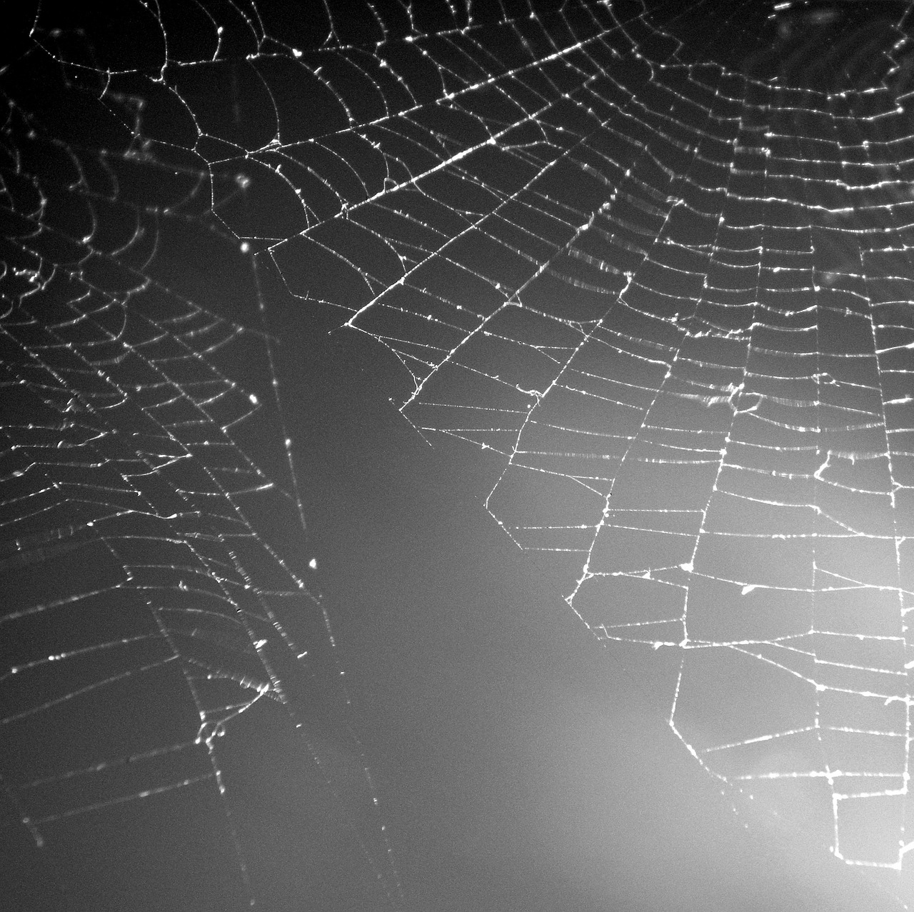 web grey construction free photo