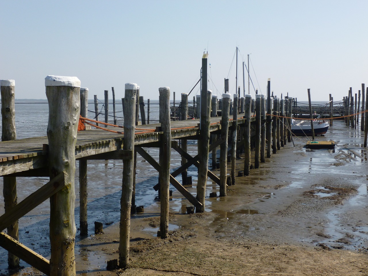 web wadden sea watts free photo