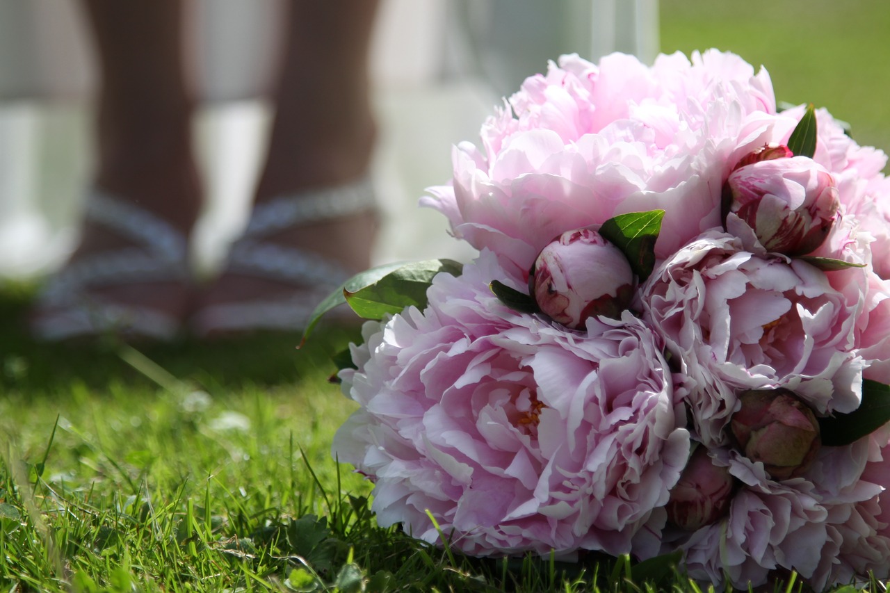 wedding wedding bouquet peony free photo