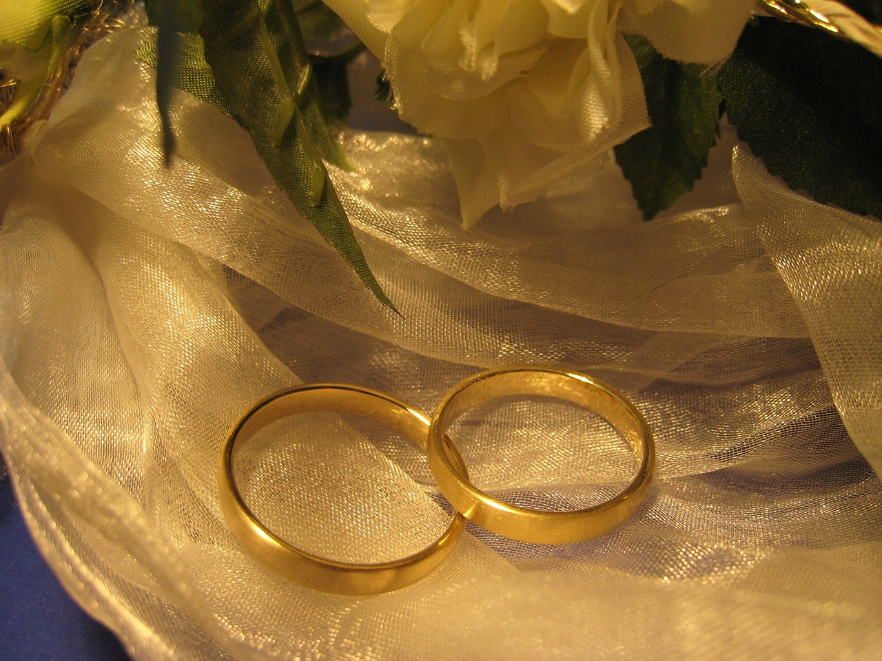 wedding rings ring free photo