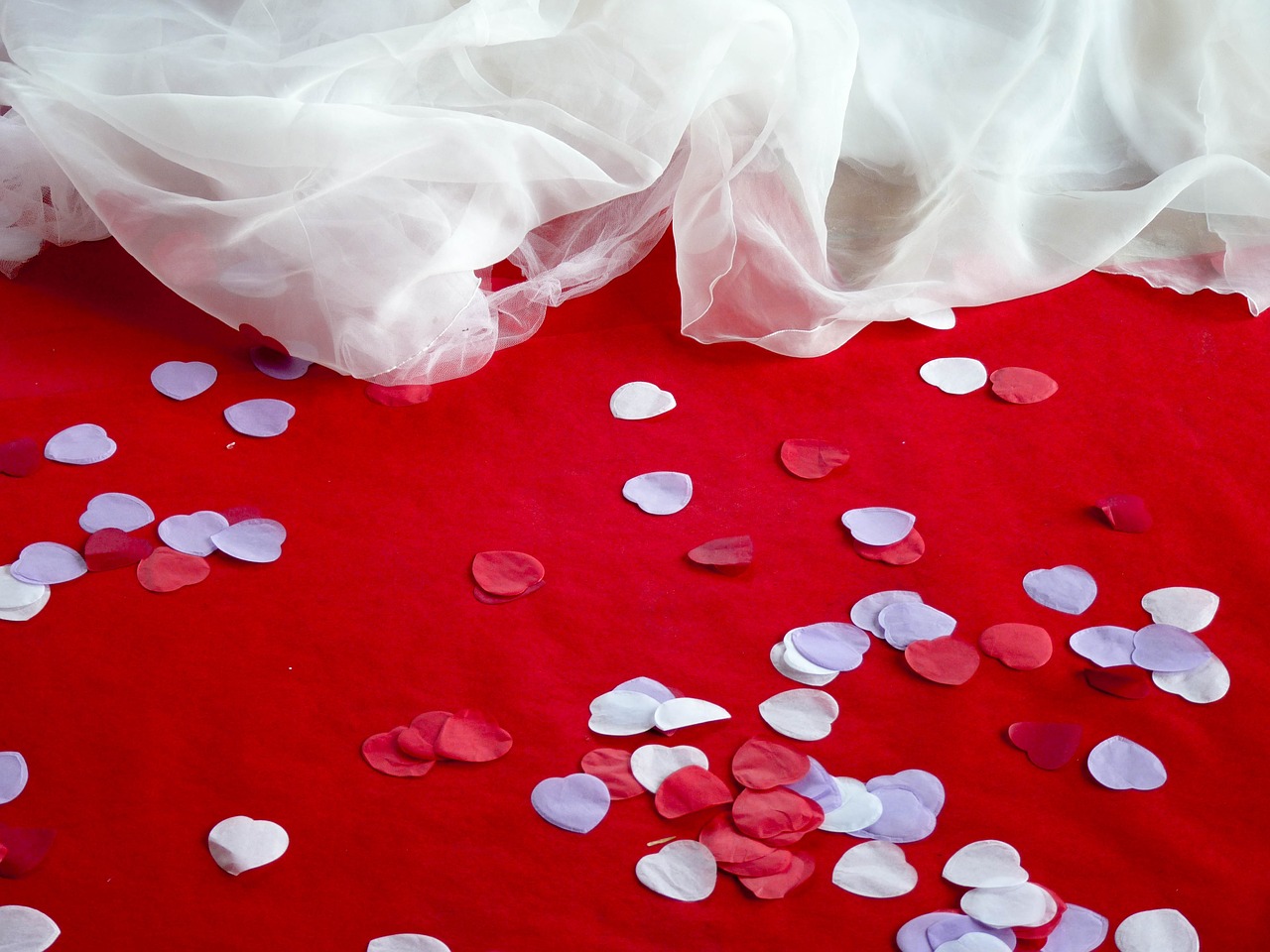 wedding petals decor free photo