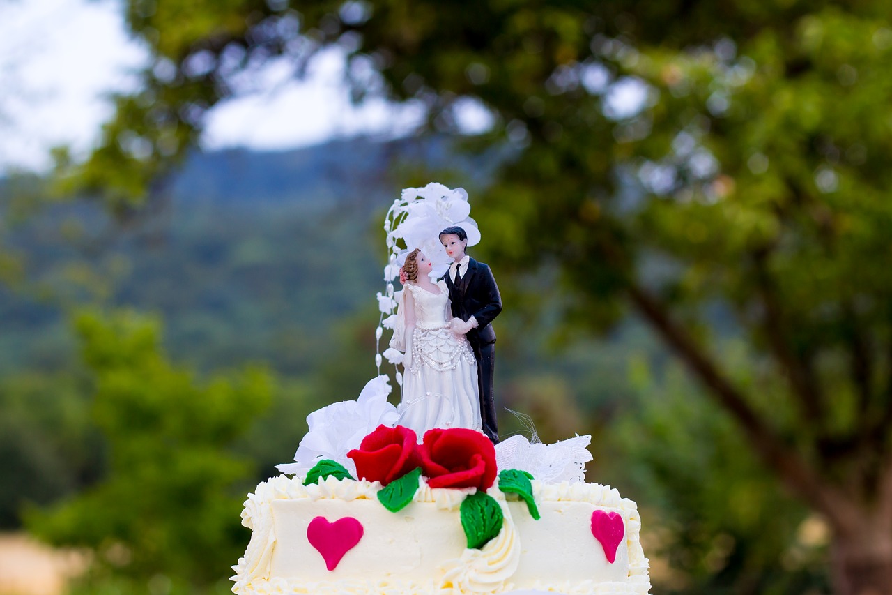 wedding cake marry free photo
