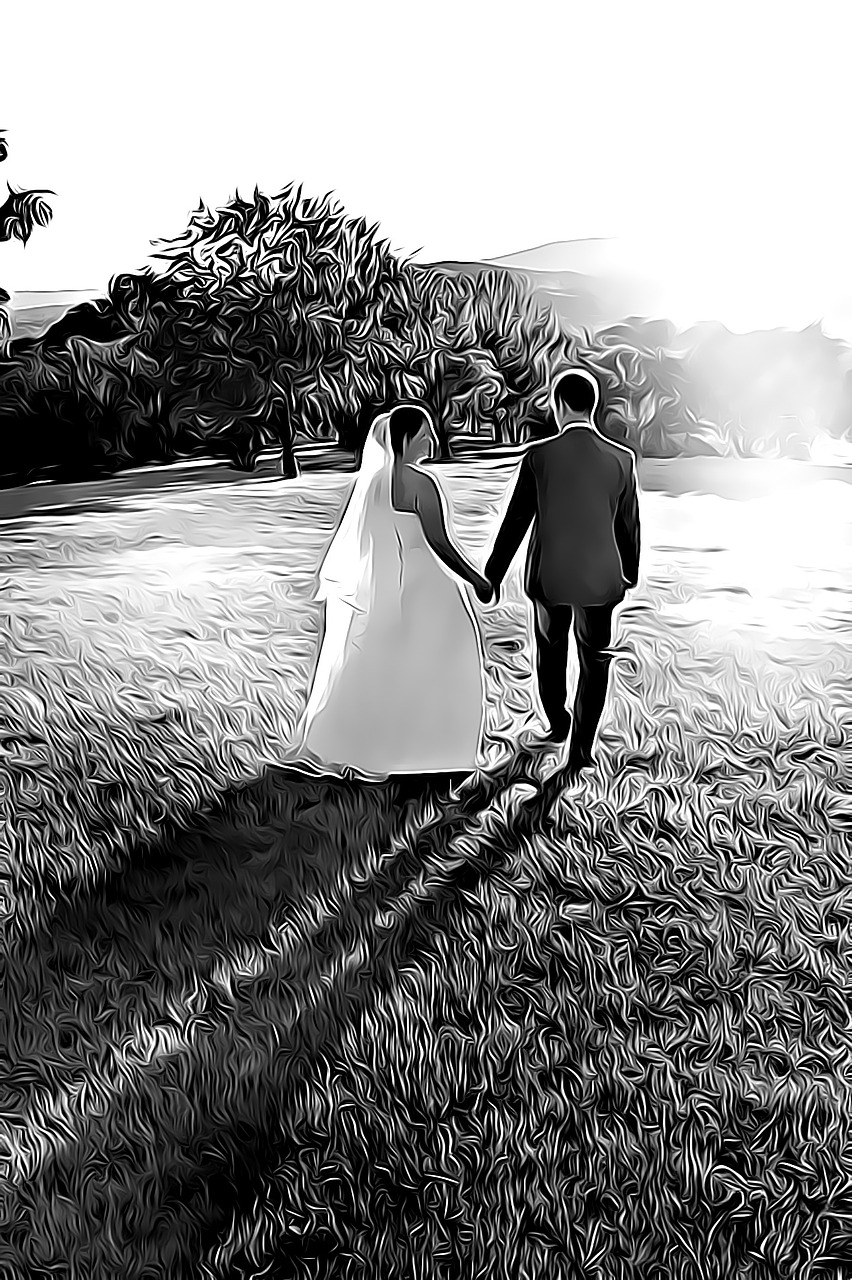 wedding a couple of nightfall free photo