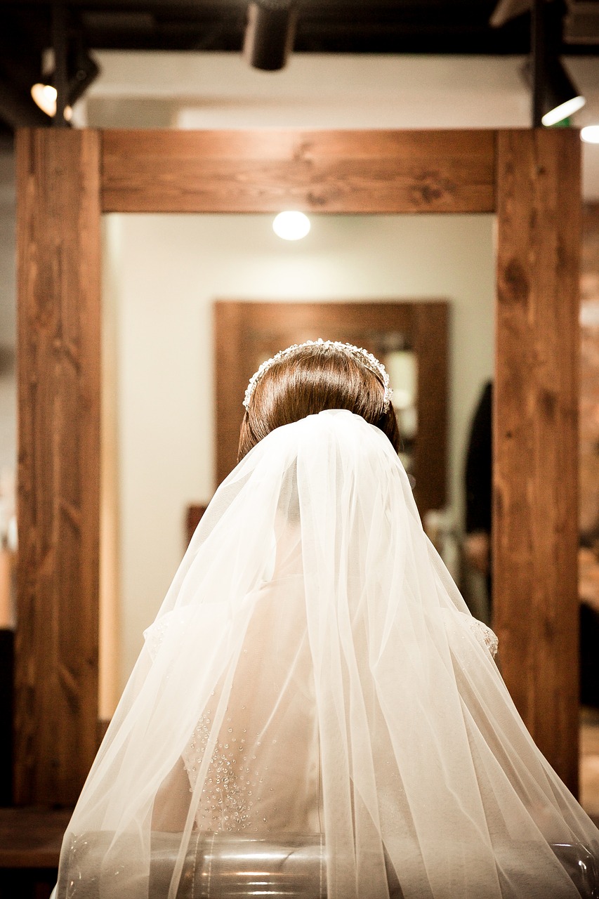 wedding veil the bride free photo