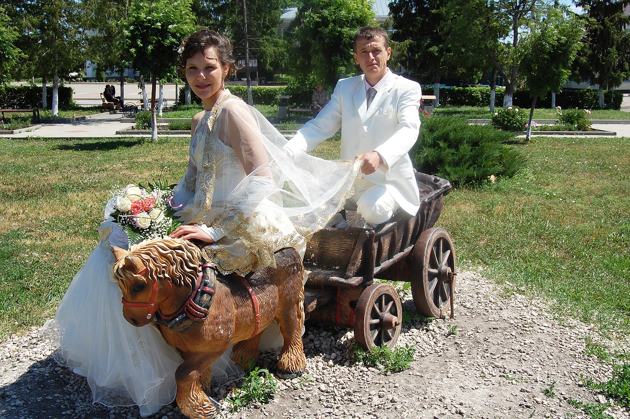 wedding stroll just married free photo