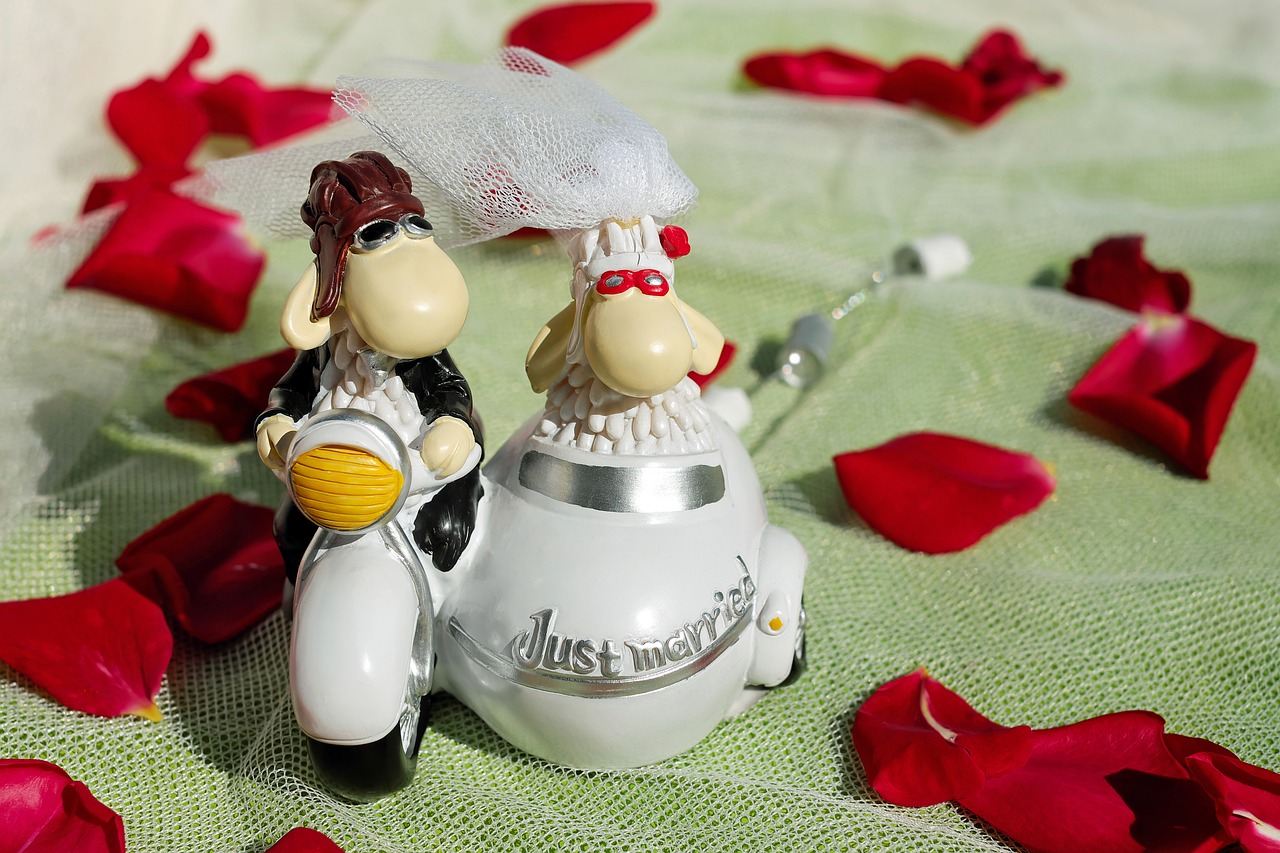 wedding bride and groom figure free photo