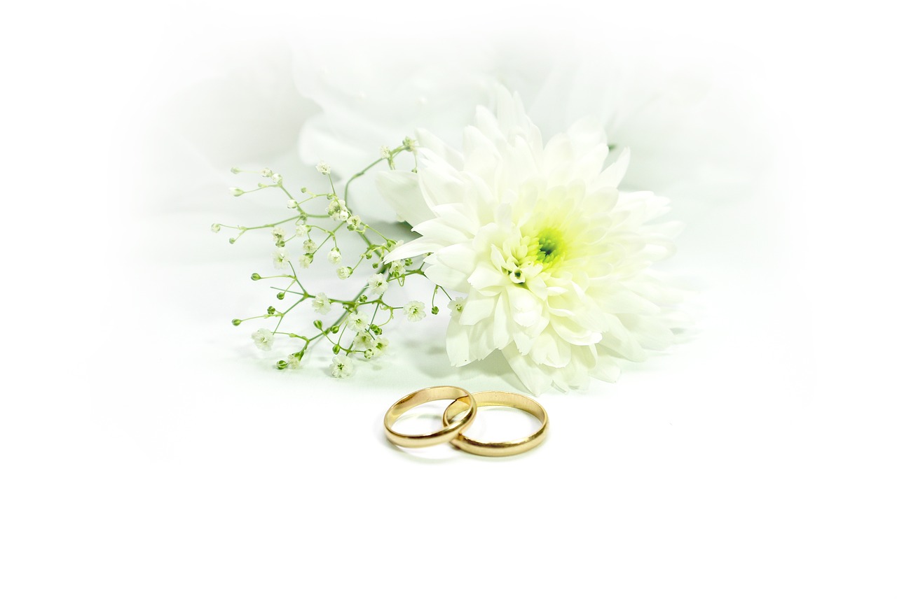 wedding rings marry free photo