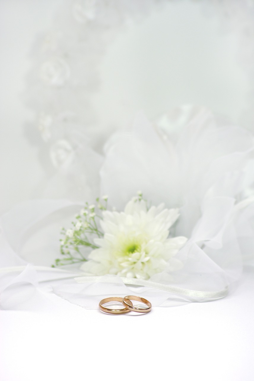 wedding rings marry free photo