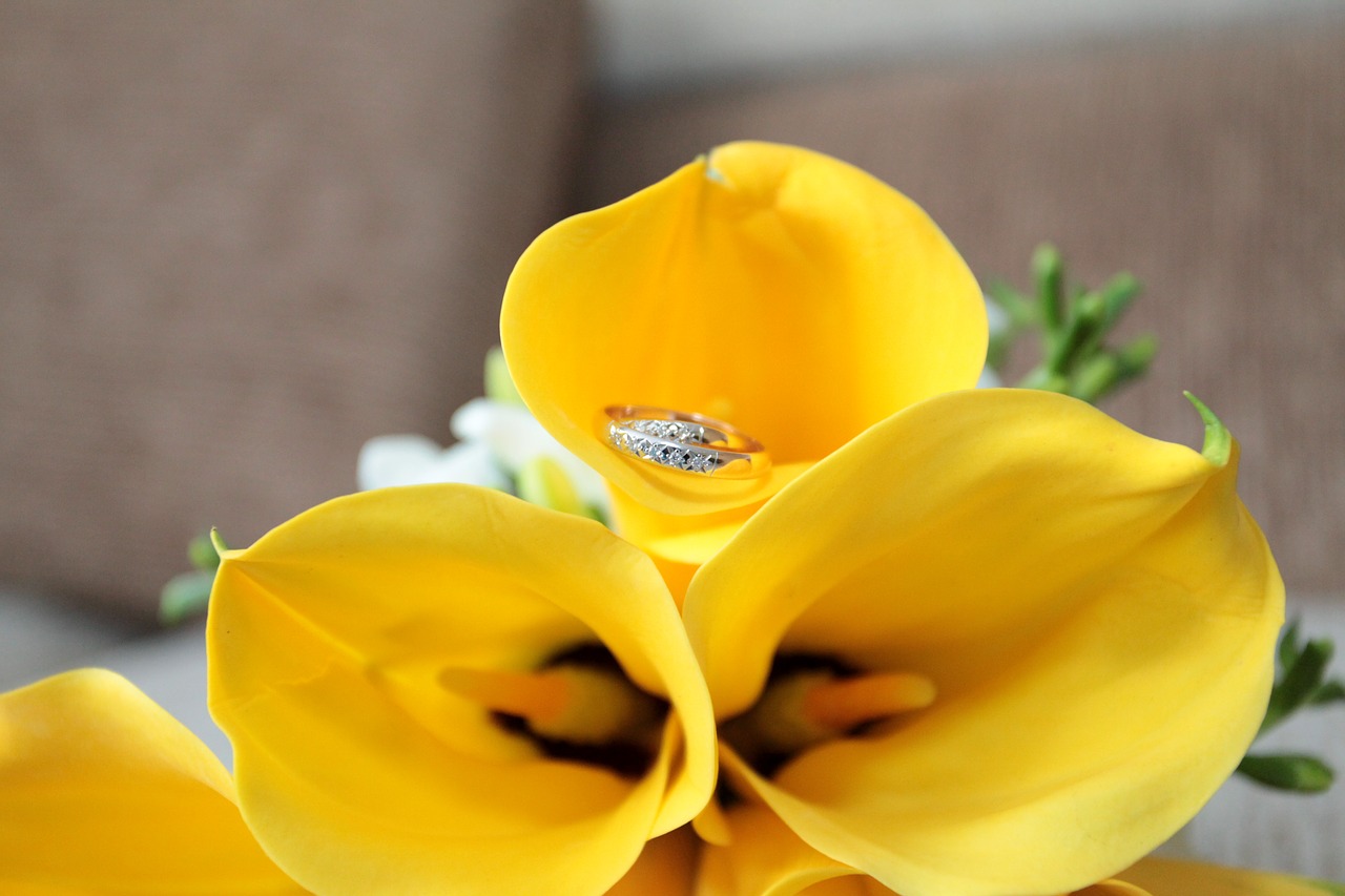 wedding flowers calla lilies free photo