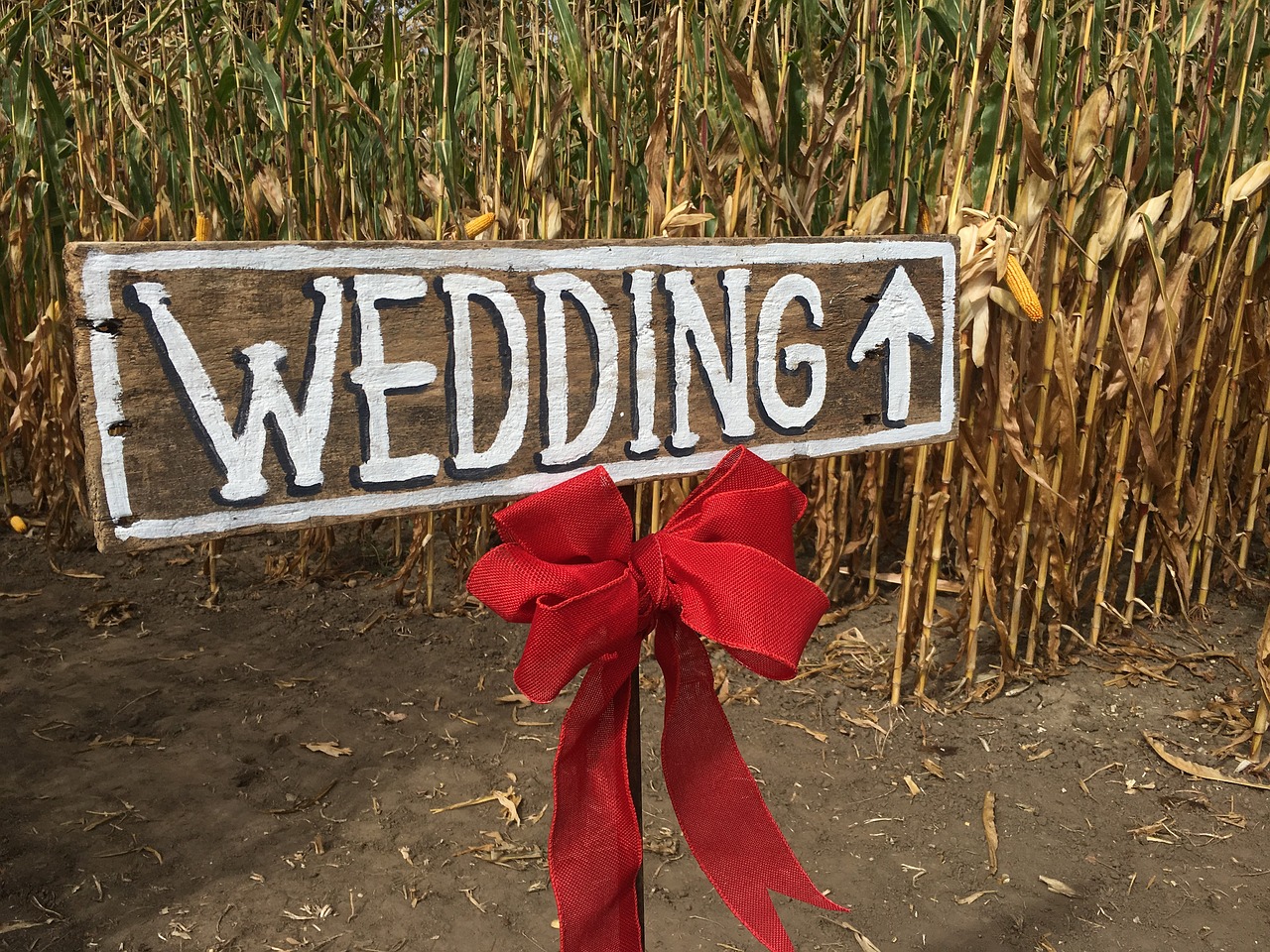 wedding corn field rustic free photo