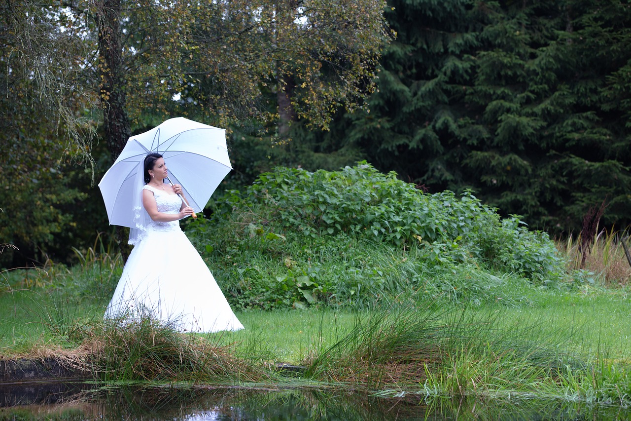 wedding white wedding dress free photo