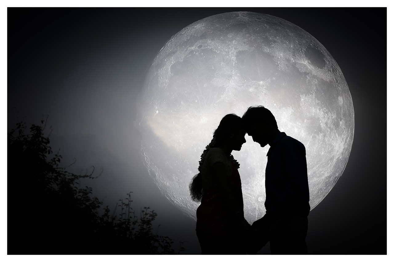 wedding  outdoor  moon free photo