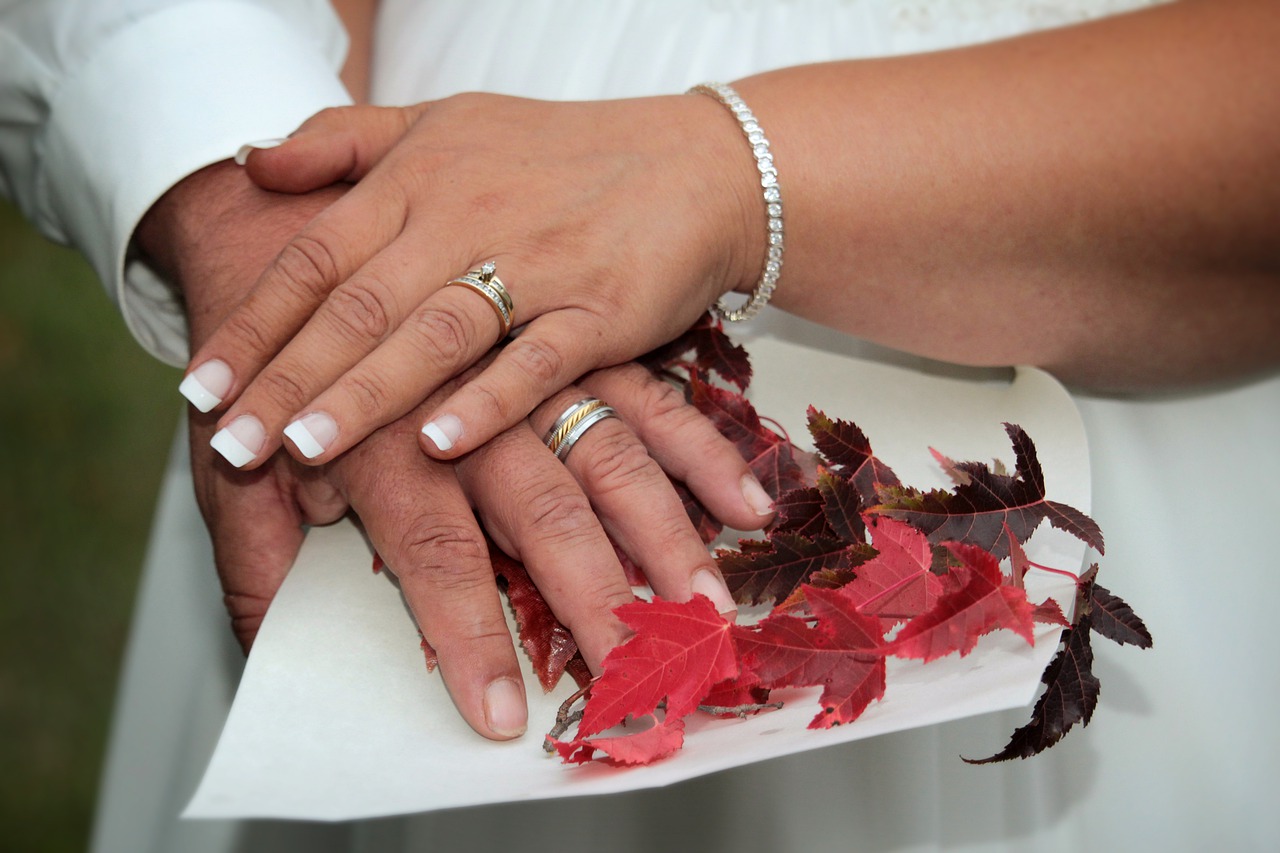 wedding  hands  rings free photo