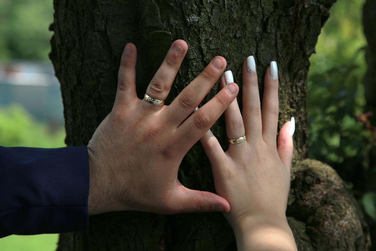 wedding  rings  love free photo