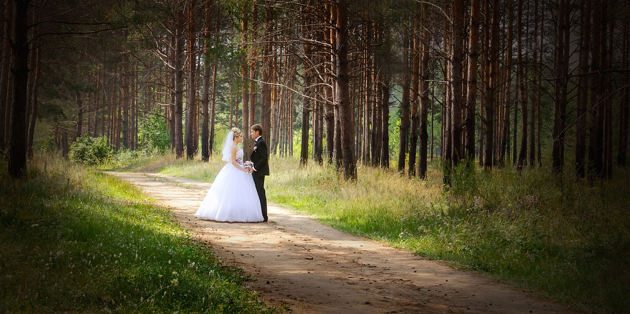 wedding just married bride free photo