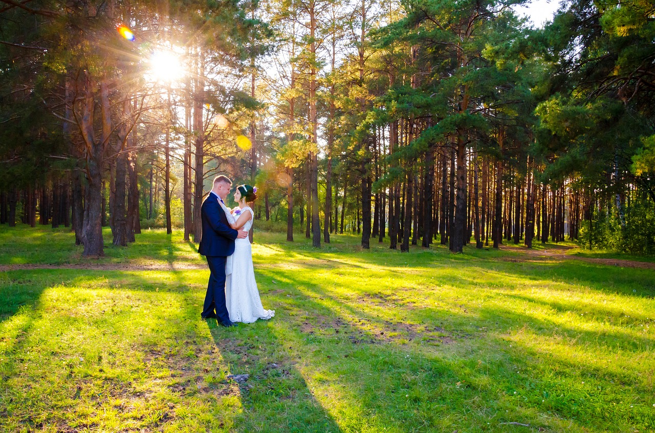 wedding bride the groom free photo