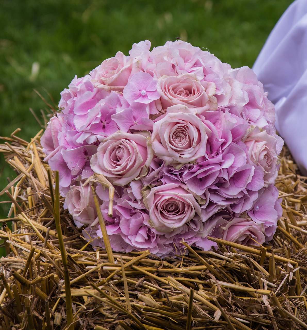 wedding bouquet  bouquet  wedding free photo