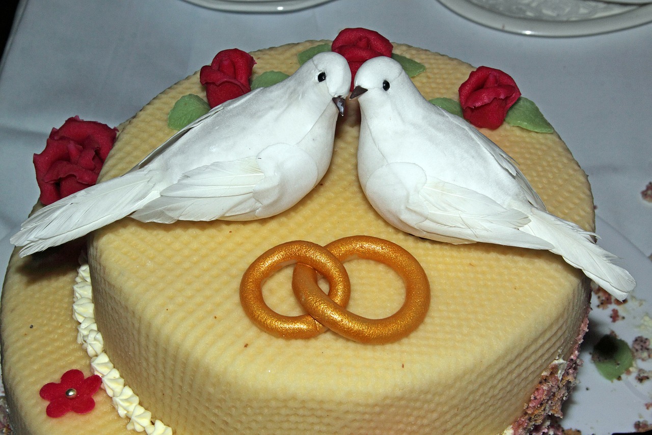 wedding cake pigeons rings free photo