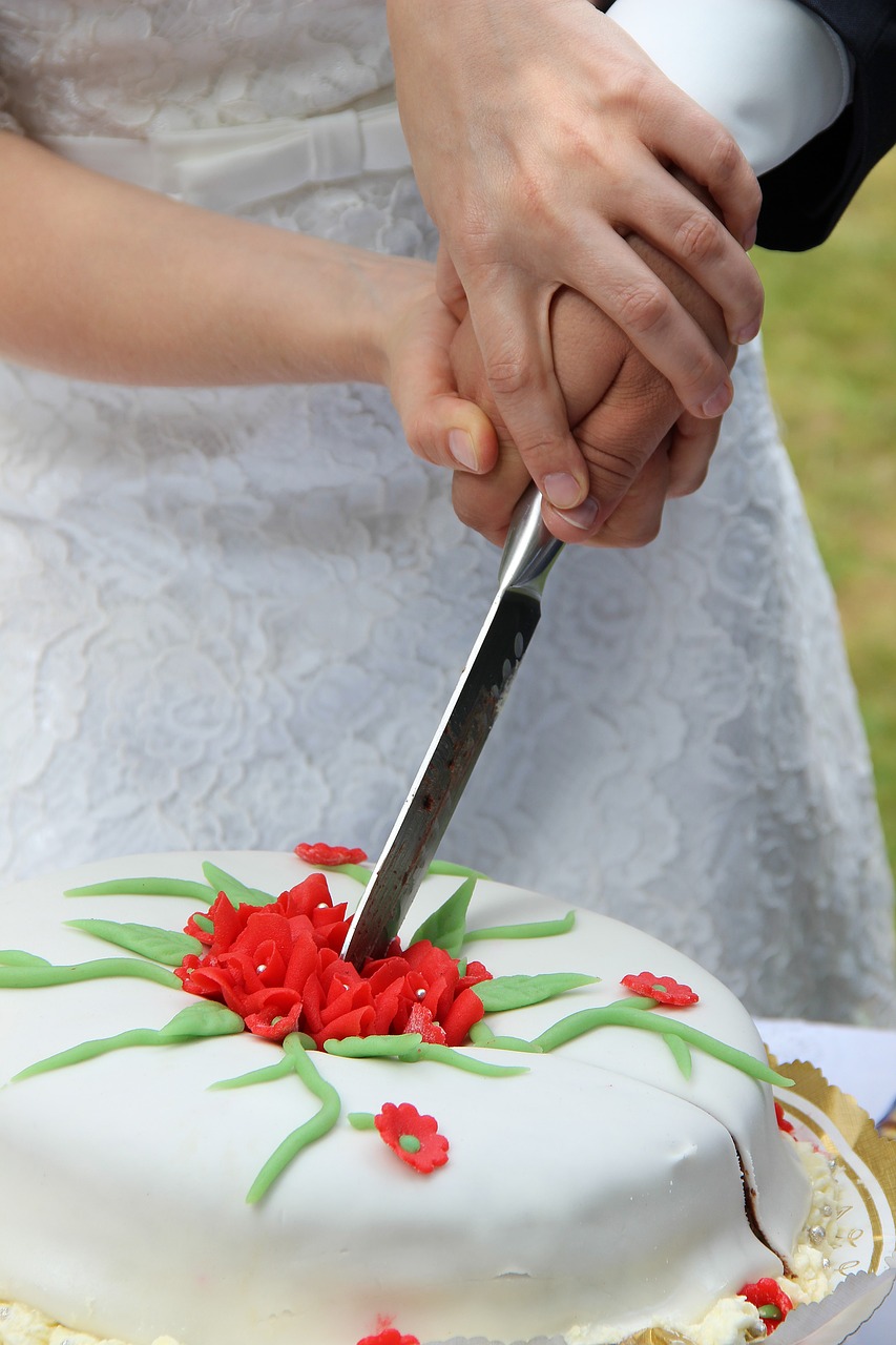 wedding cake  cut  together free photo