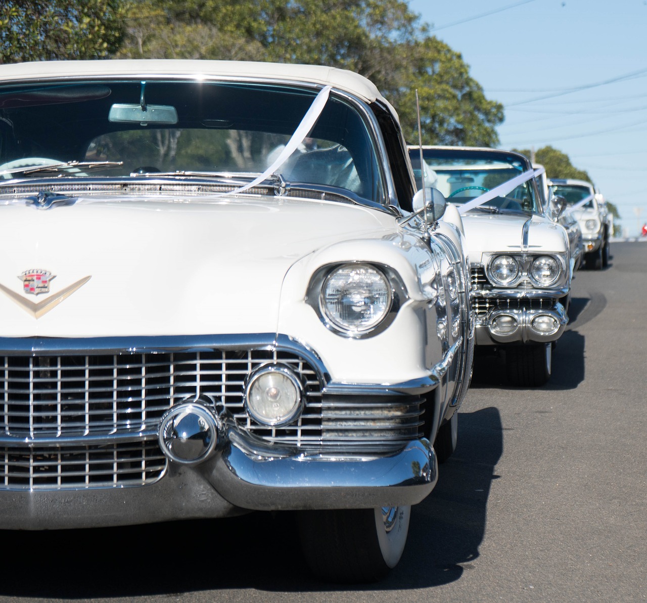 wedding cars  cadillac  white cars free photo