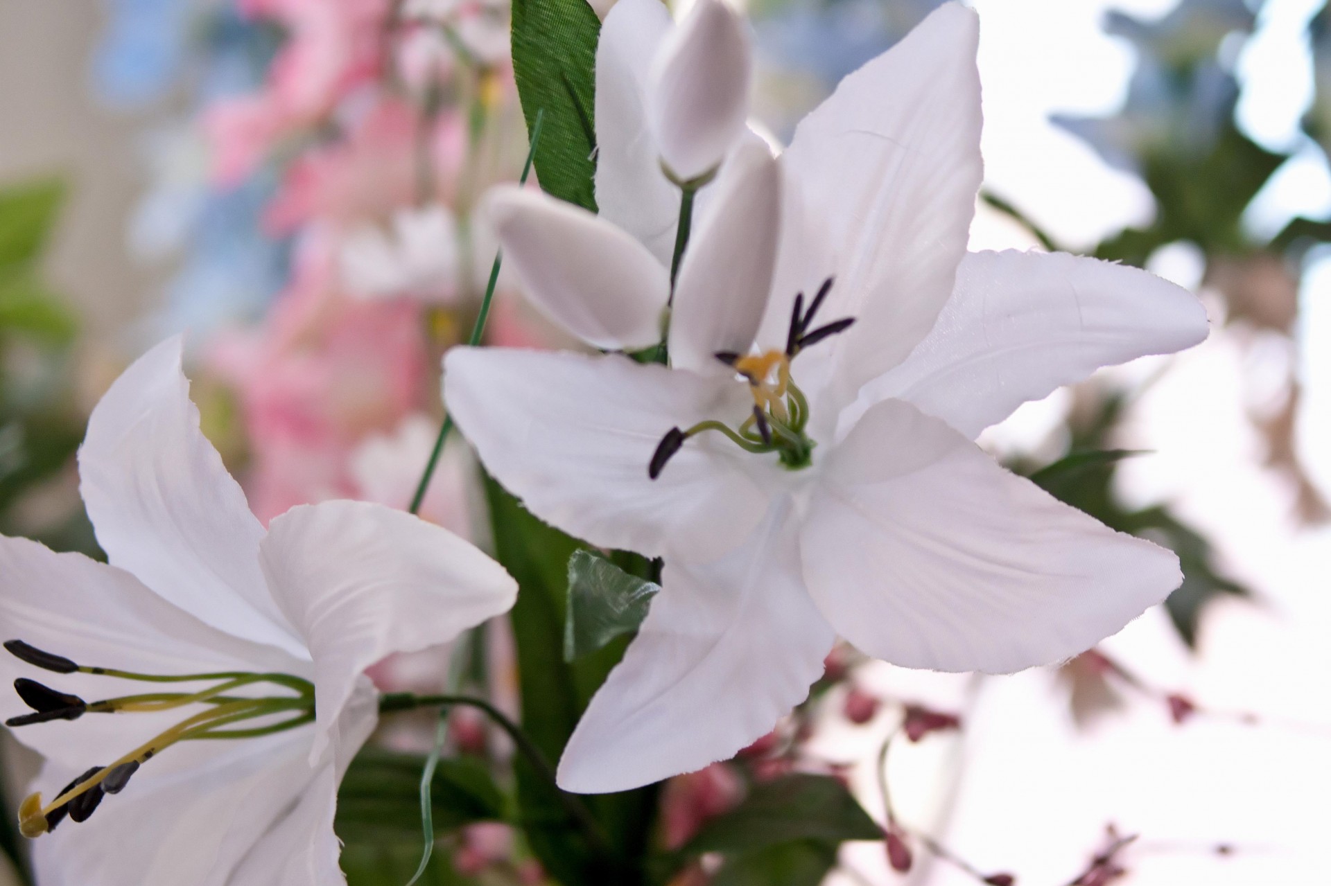 wedding decoration flowers free photo