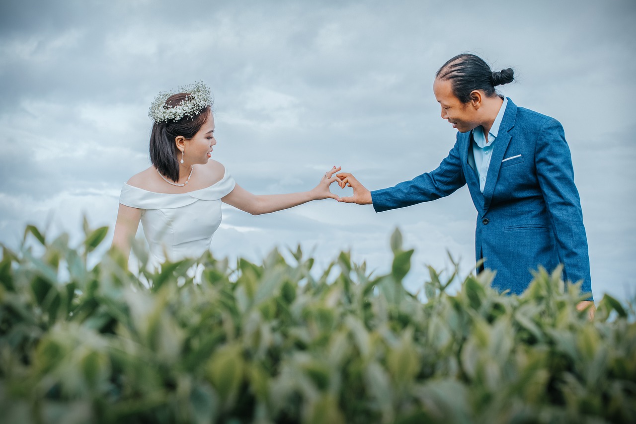 wedding photo  hill tea  scenery free photo