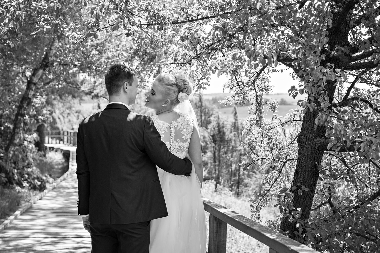 wedding photography  wedding  natural free photo