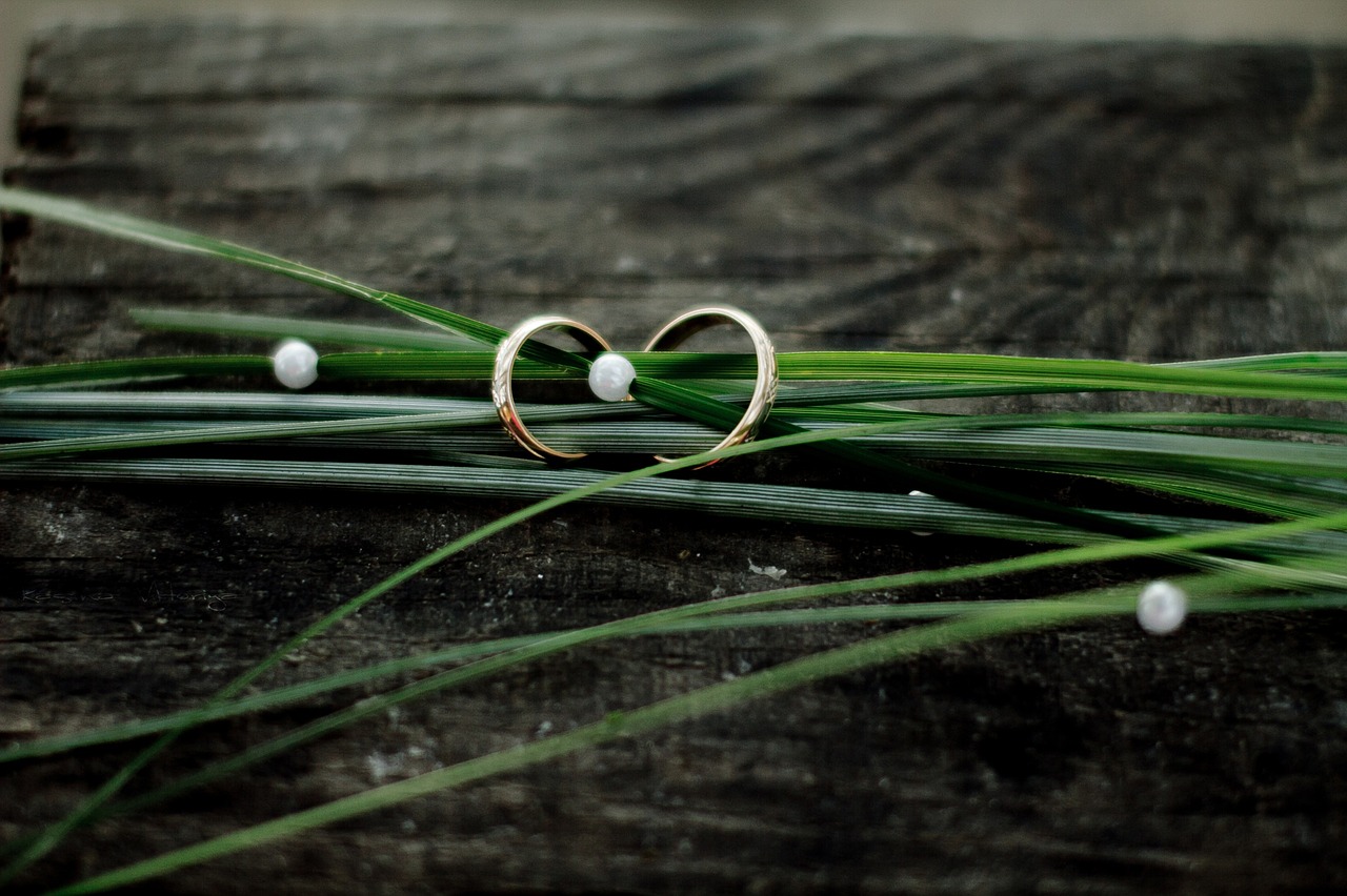 wedding rings grass tree free photo