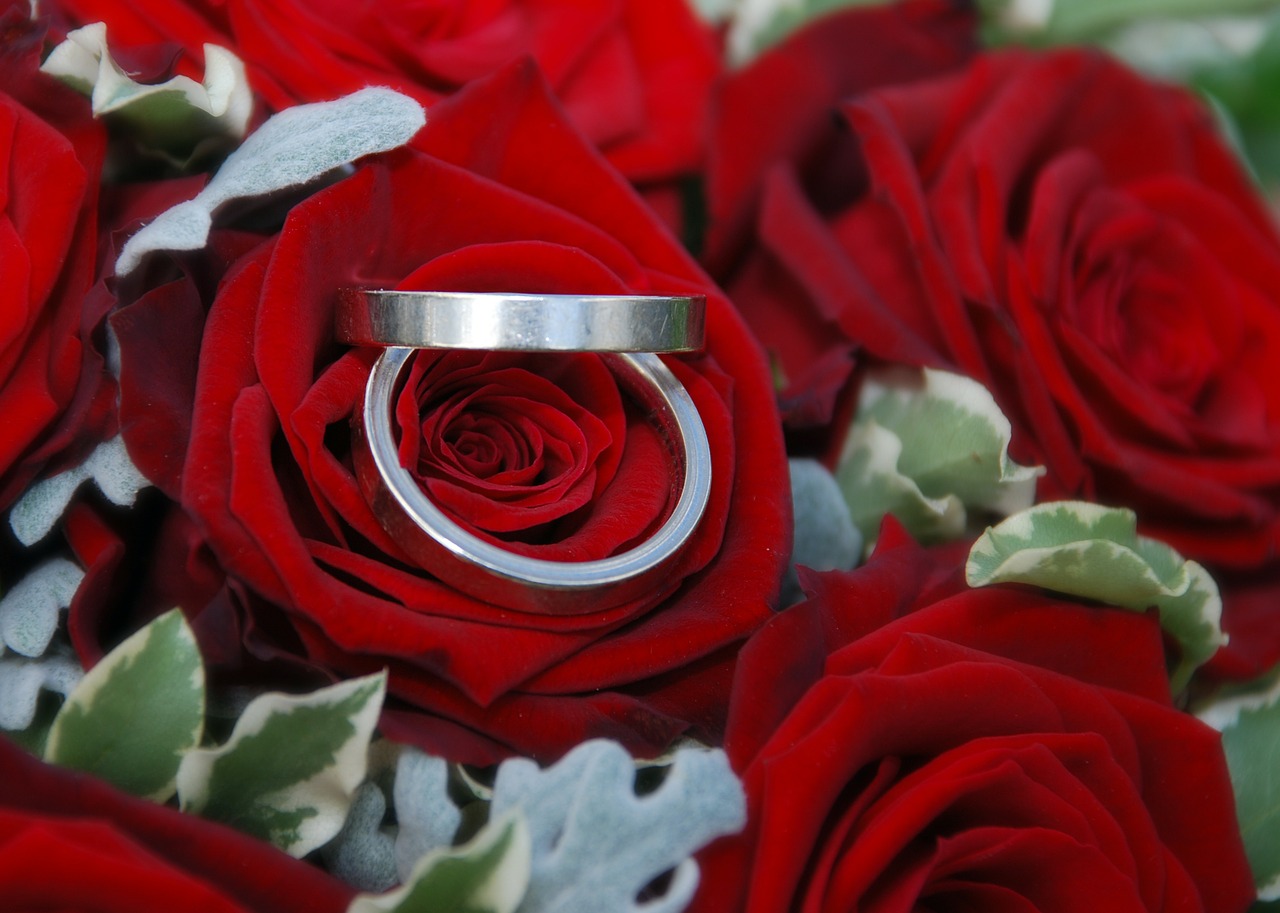 wedding rings rings wedding free photo