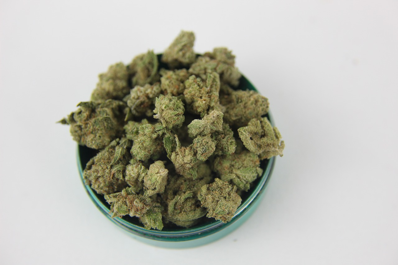 weed  marijuana  cannabis free photo