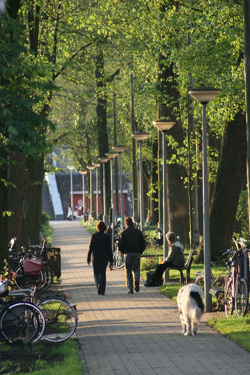 weesperzijde amsterdam hiking free photo