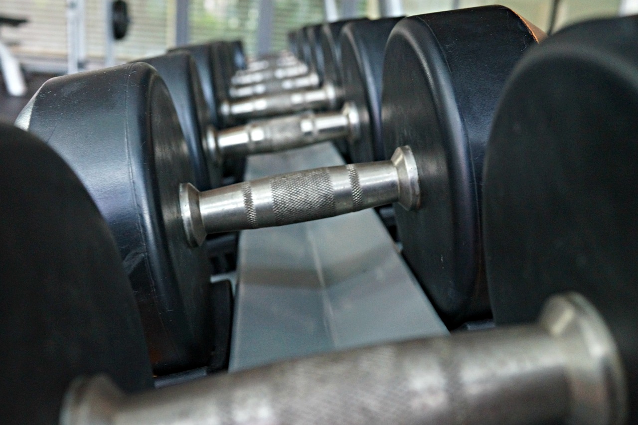 weights muscles fitness free photo