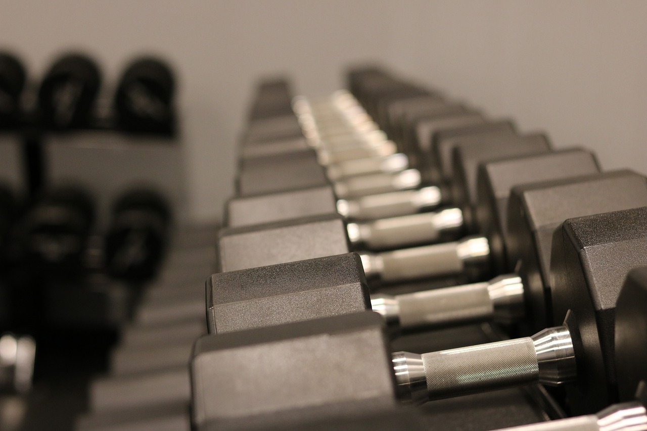 weights  dumbbells  exercise free photo
